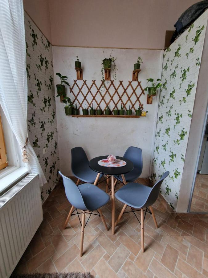 Apartament Ultracentral 2 Piata Muzeului Cluj-Napoca Exterior foto
