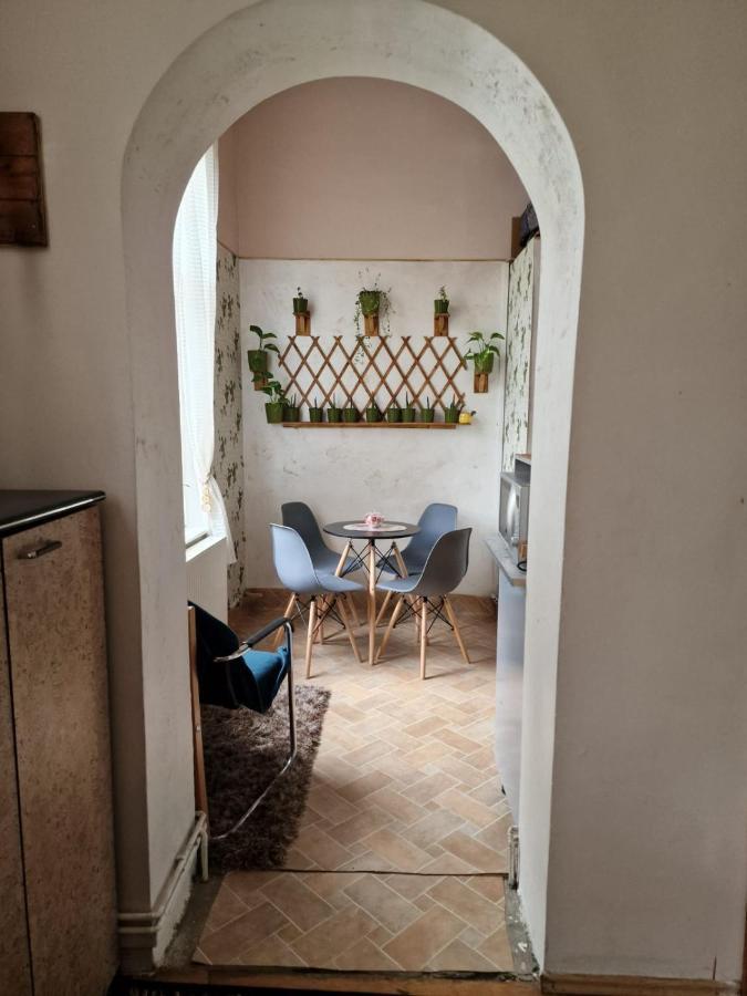 Apartament Ultracentral 2 Piata Muzeului Cluj-Napoca Exterior foto