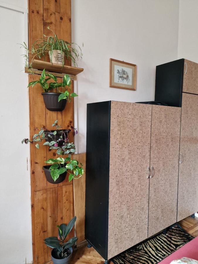 Apartament Ultracentral 2 Piata Muzeului Cluj-Napoca Exterior foto